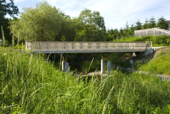 Arbour Glen Walkway, London, ON
